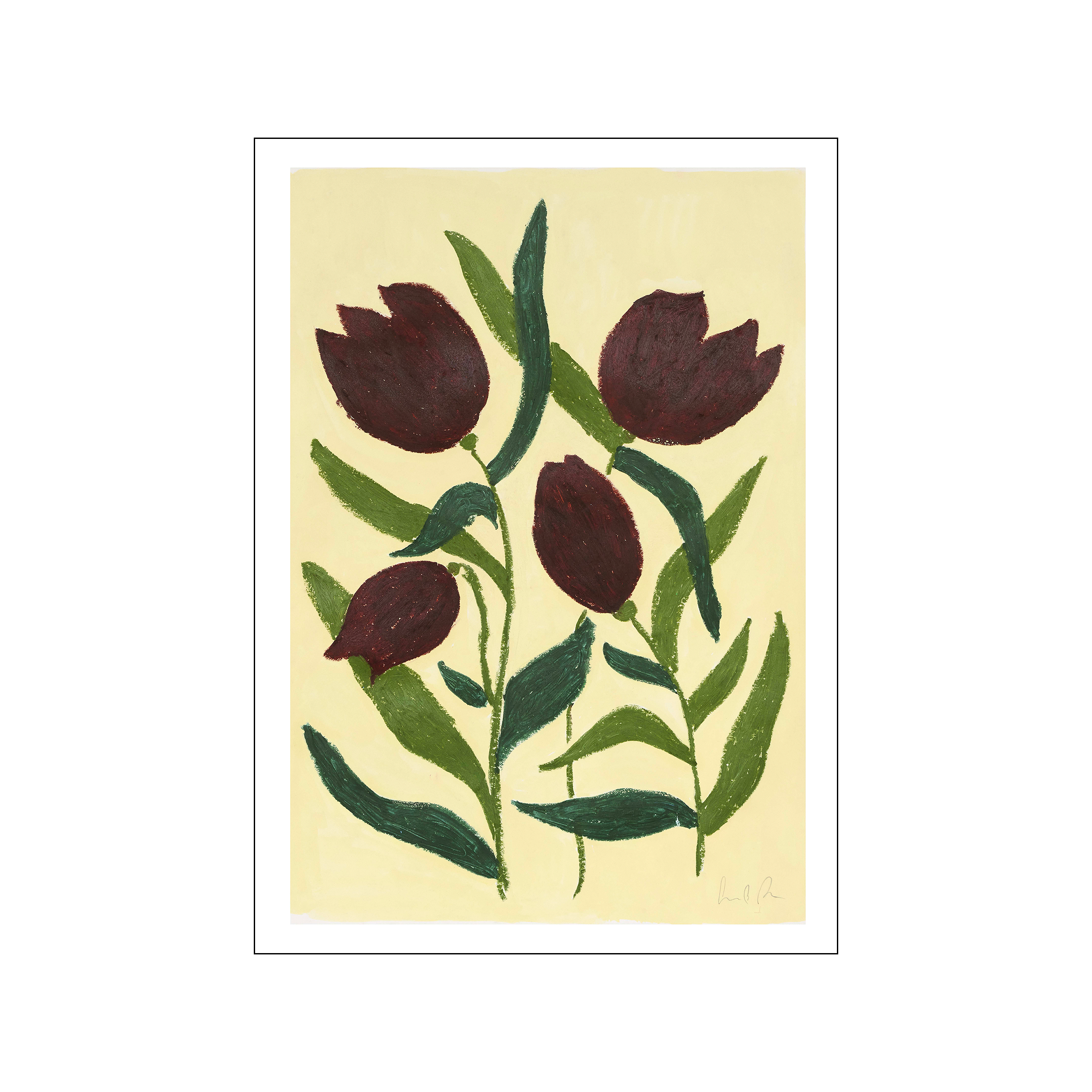 Dark Tulips